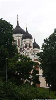 tallin